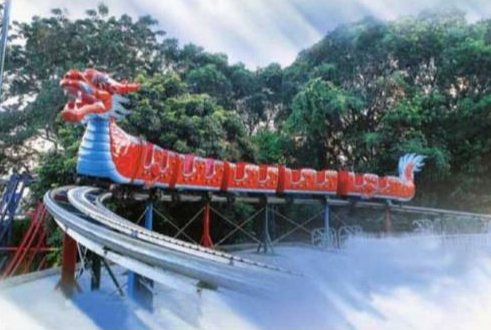 滑行車(chē)類(lèi)—滑行龍